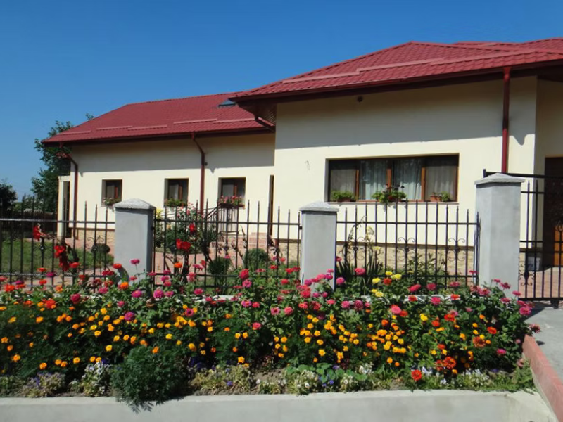 Design fara titlu 66